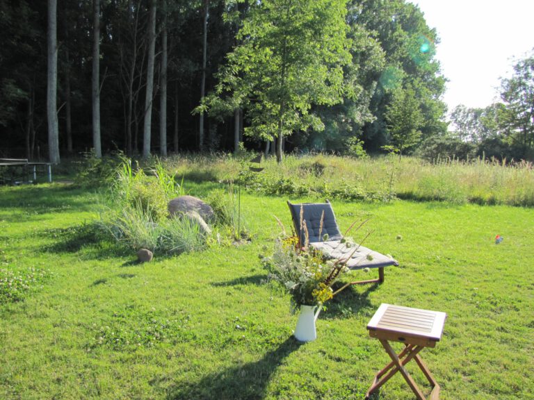 Garten1 768x576