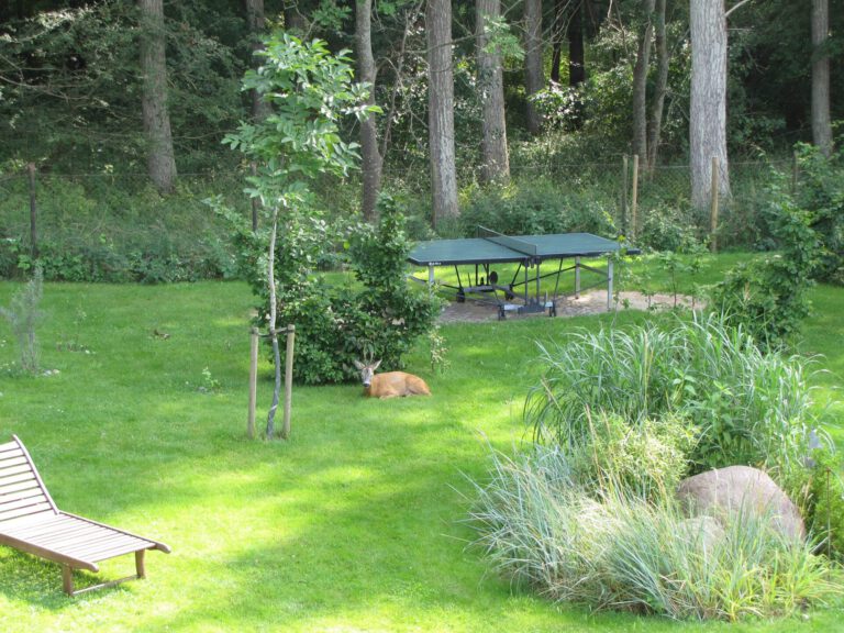 Garten2 768x576