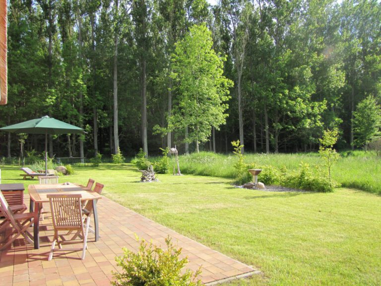 Garten3 768x576