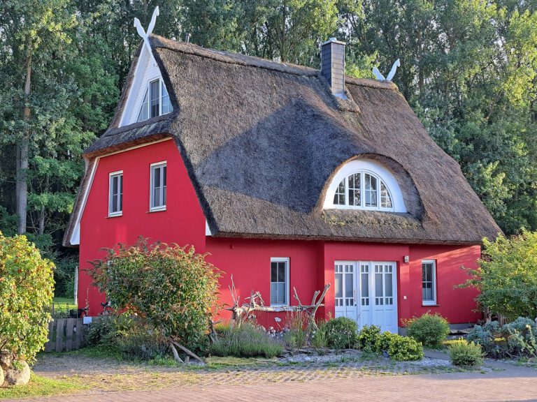 HausSeeigel 768x576